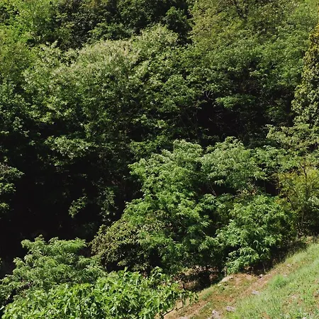 לינה וארוחת בוקר La Quiete