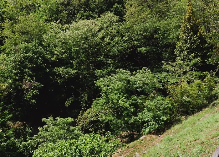 Bed and breakfast La Quiete