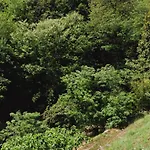 Bed & Breakfast La Quiete